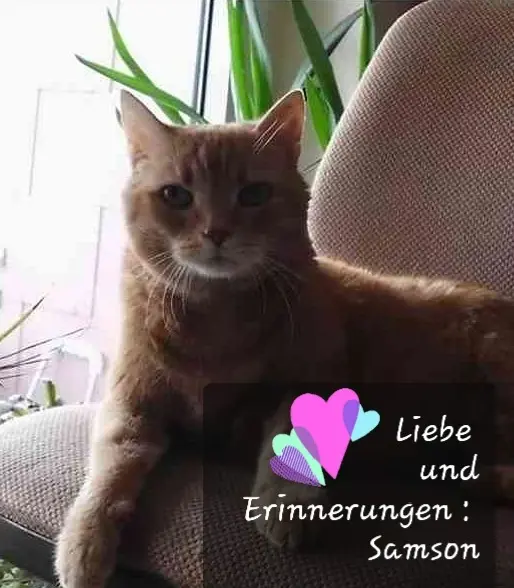Condolence image of Deine Mama