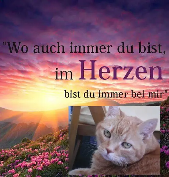 Condolence image of Deine Mama