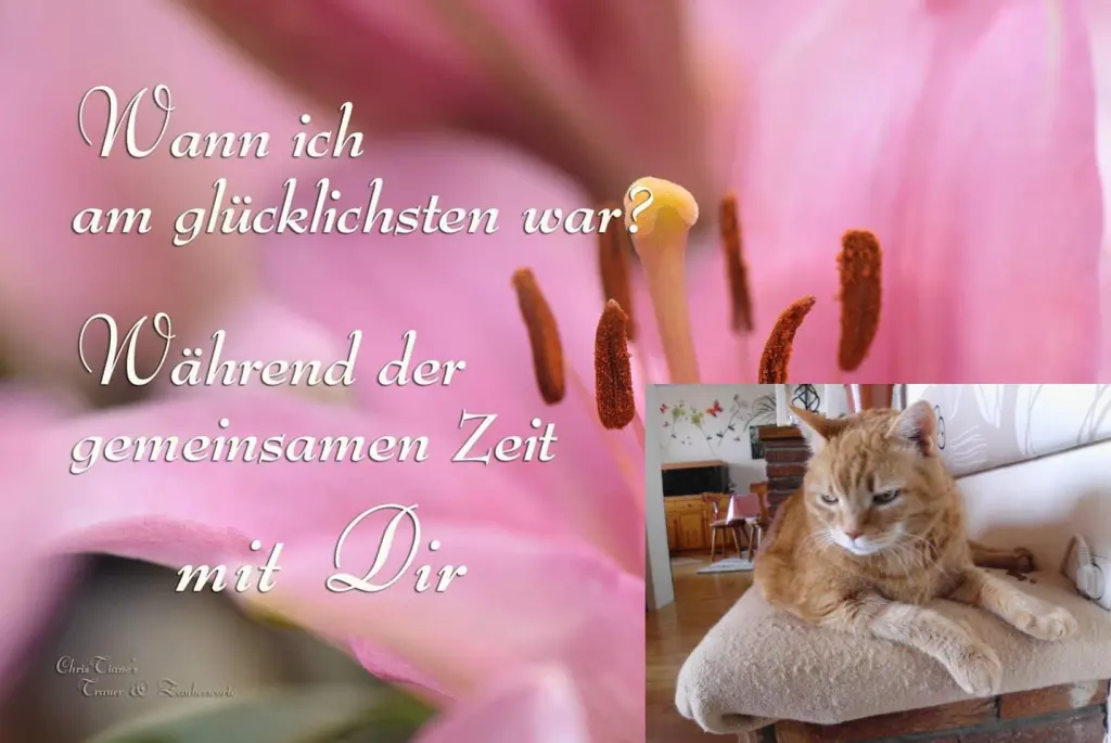 Condolence image of Deine Mama 