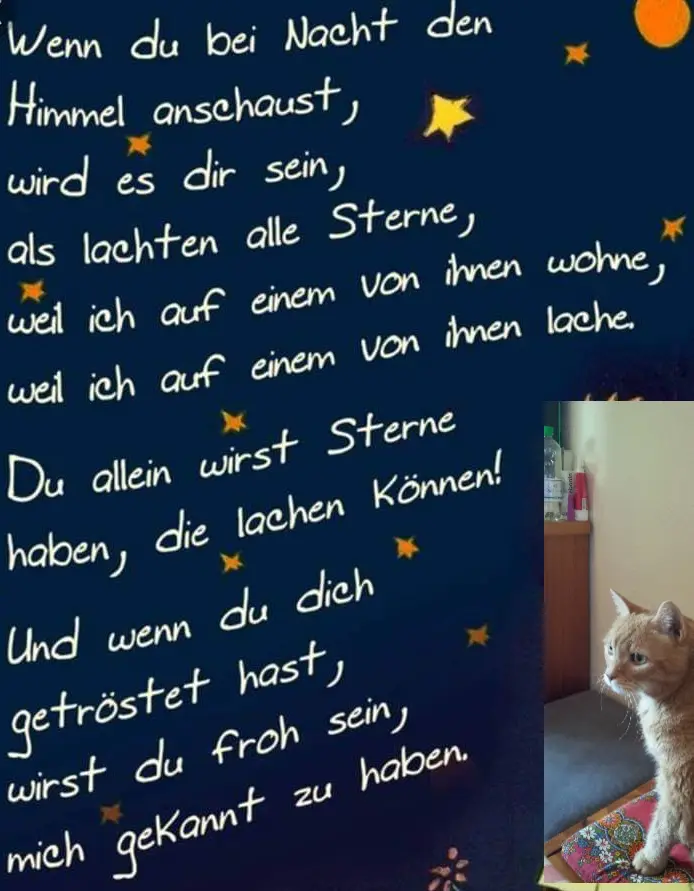 Condolence image of Unbekannt