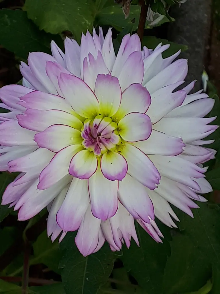 Condolence image of Deine Mama