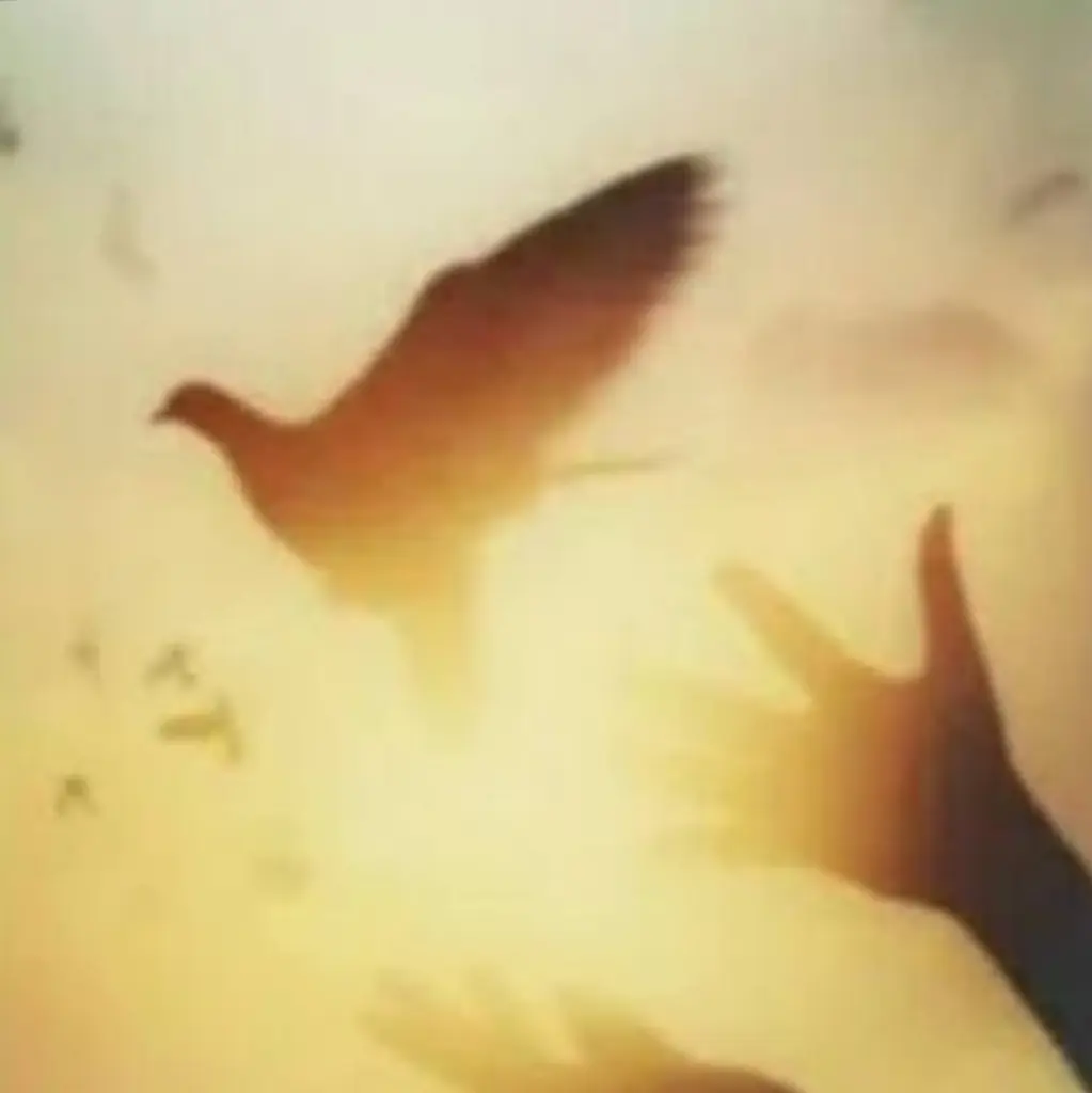 Condolence image of Angelique 