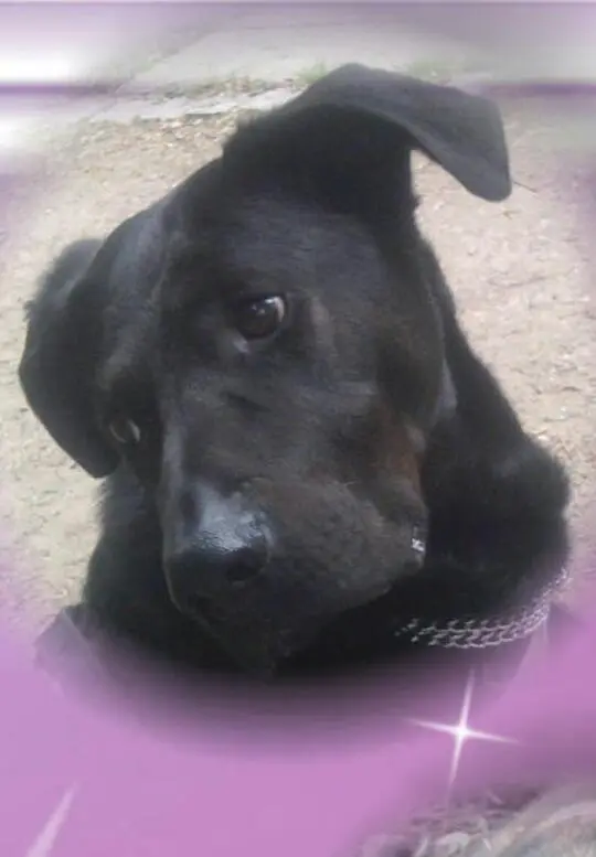Condolence image of Doreen