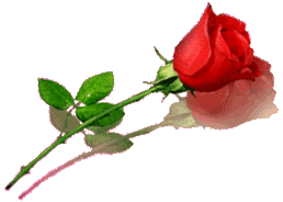 Condolence image of Annette