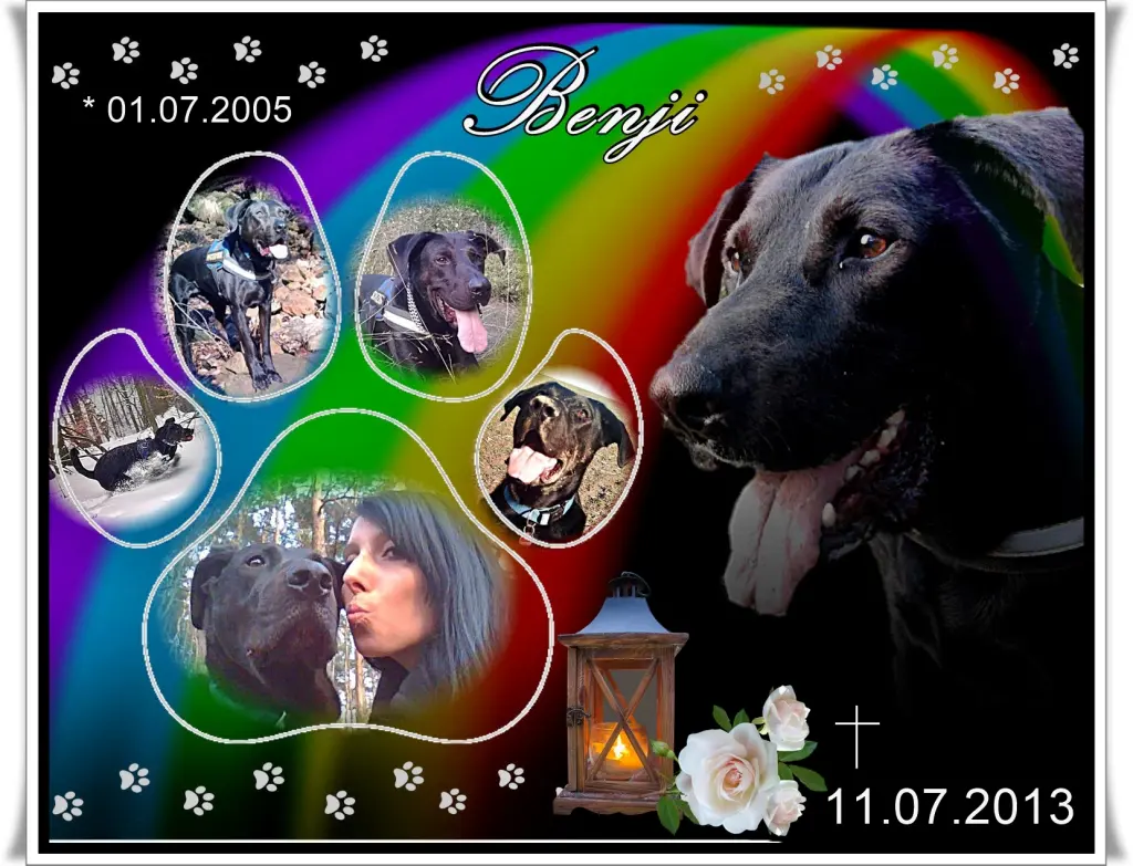 Condolence image of Doreen