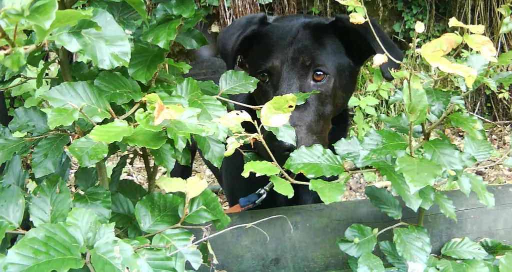 Condolence image of Doreen