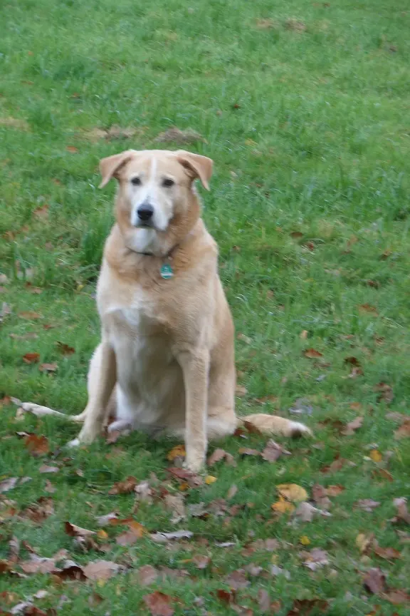 Condolence image of Bärbel