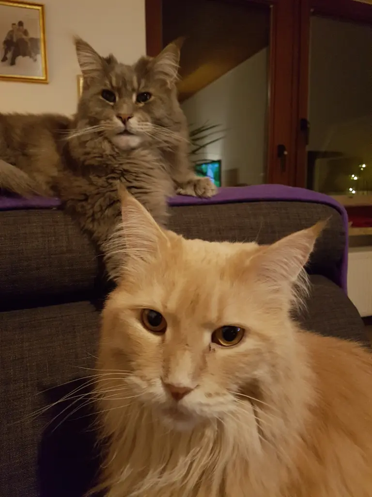Condolence image of Brigitta und Dougie