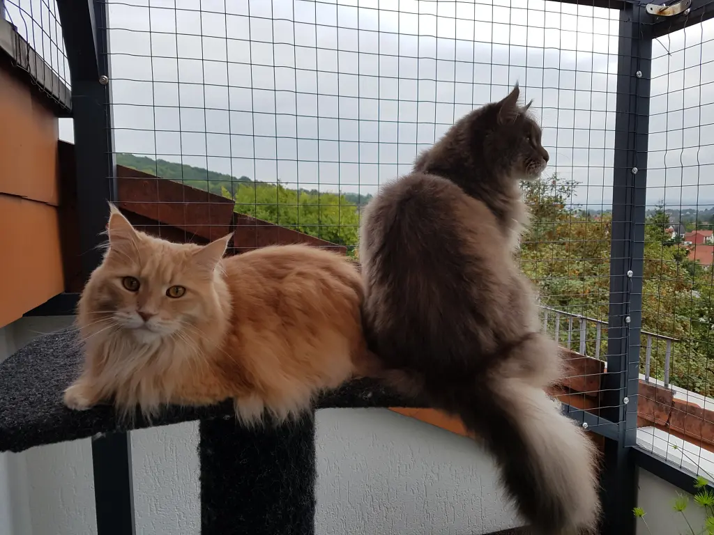 Condolence image of Brigitta und Dougie
