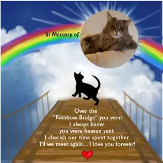Condolence image of ❤️❤️❤️