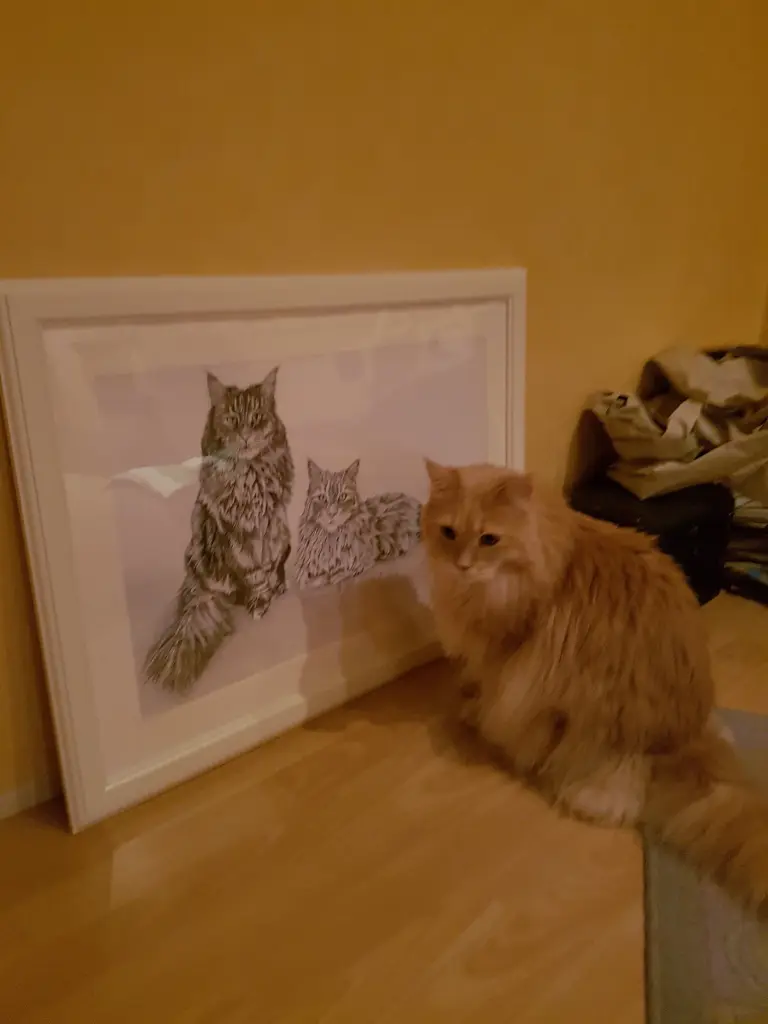 Condolence image of Brigitta und Dougie