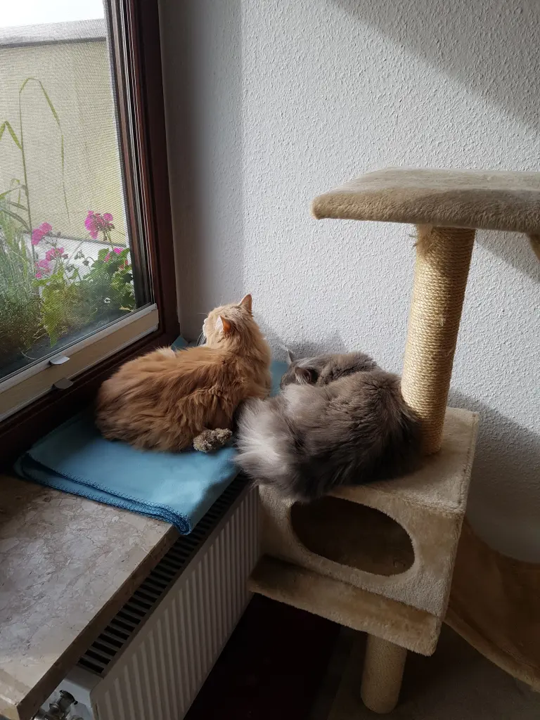 Condolence image of Brigitta und Dougie