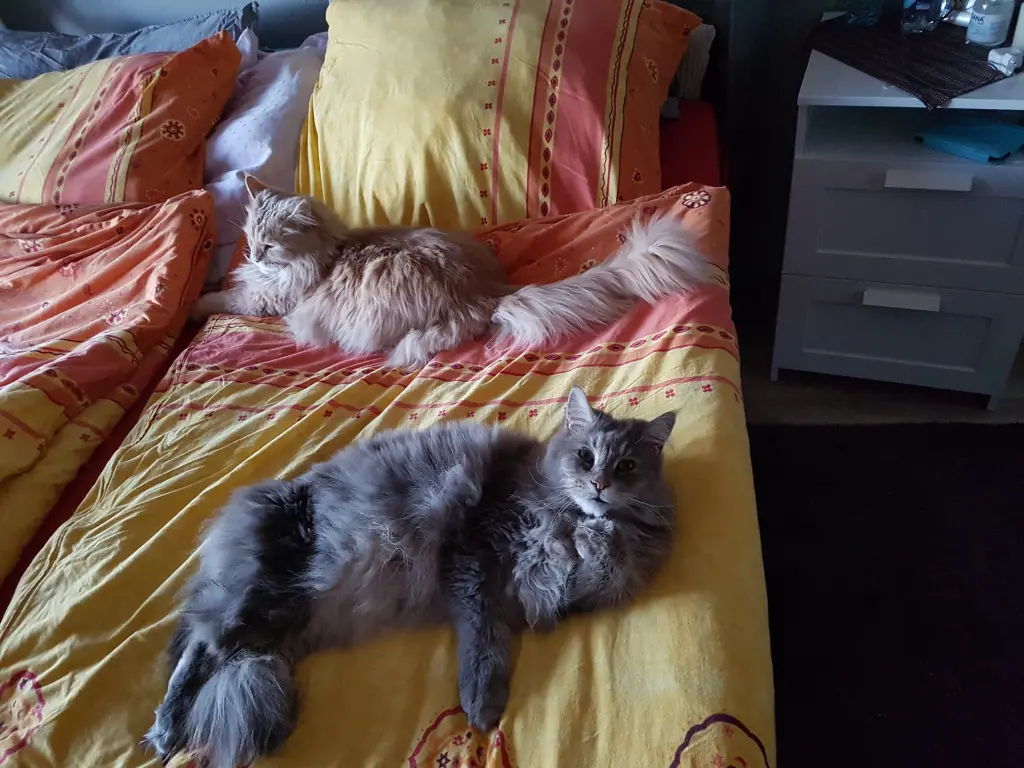 Condolence image of Brigitta und Dougie