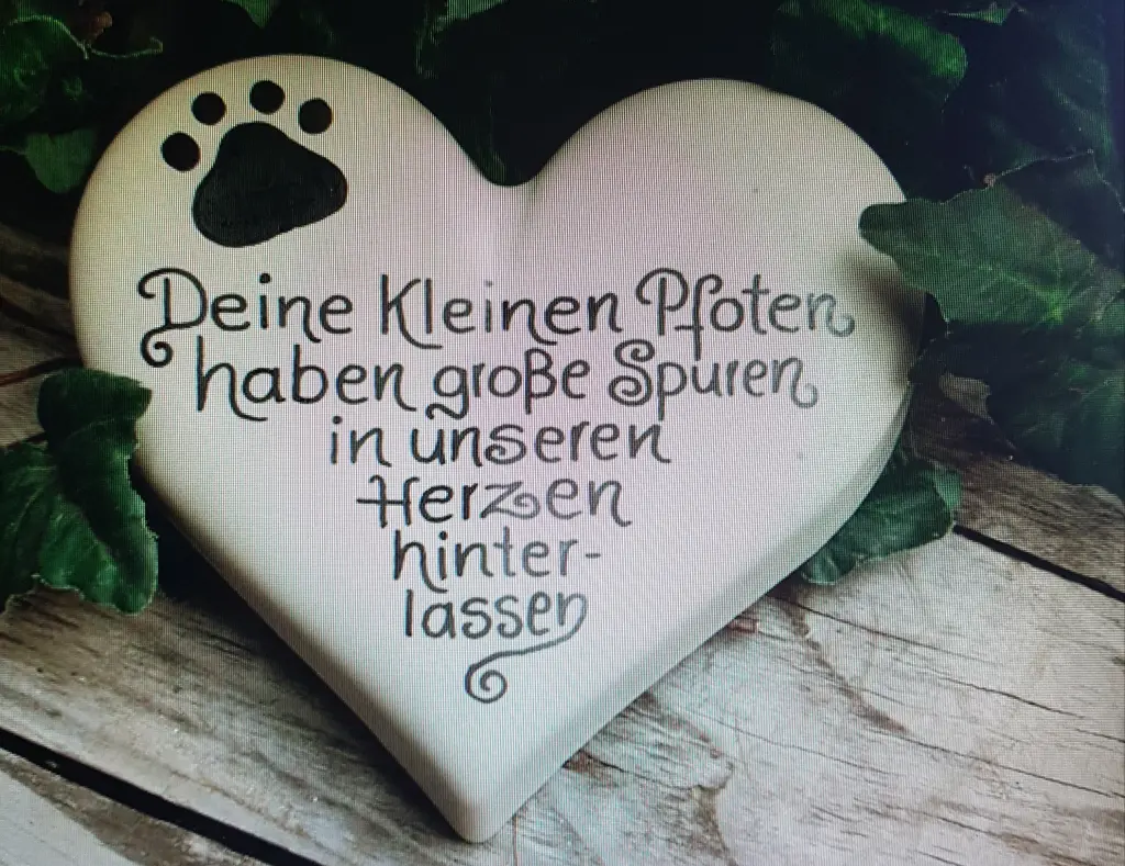 Condolence image of Brigitta und Dougie