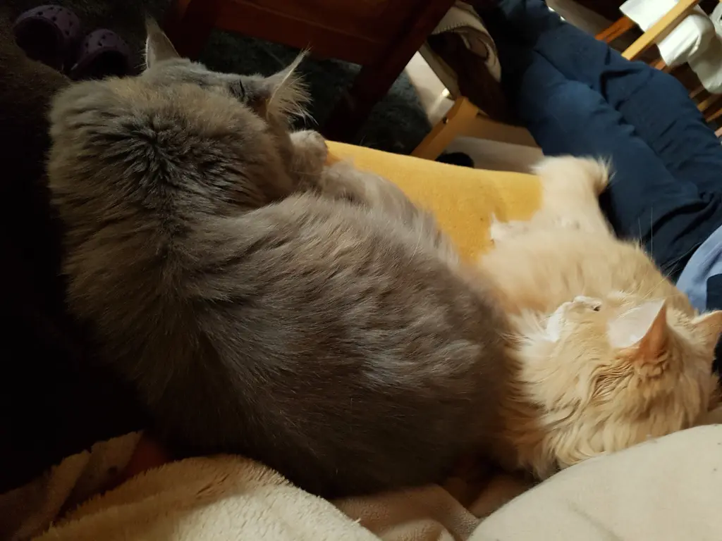 Condolence image of Brigitta und Dougie