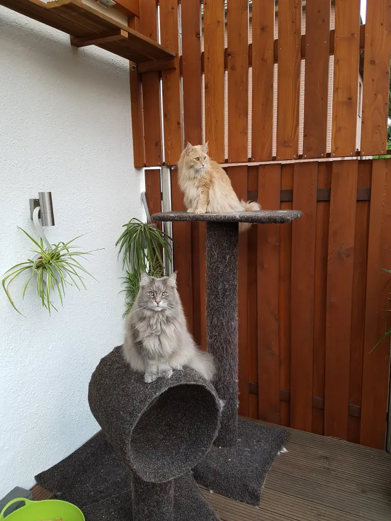 Condolence image of Brigitta und Dougie