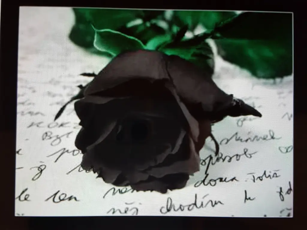 Condolence image of Brigitta und Dougie