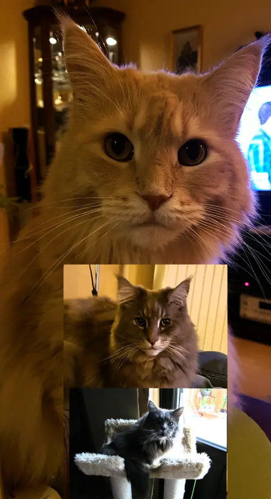 Condolence image of Brigitta und Dougie