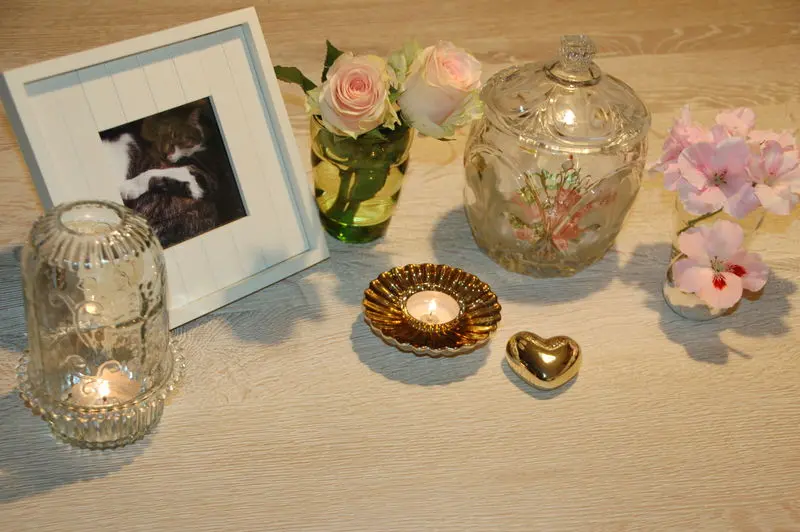 Condolence image of Kater Willi