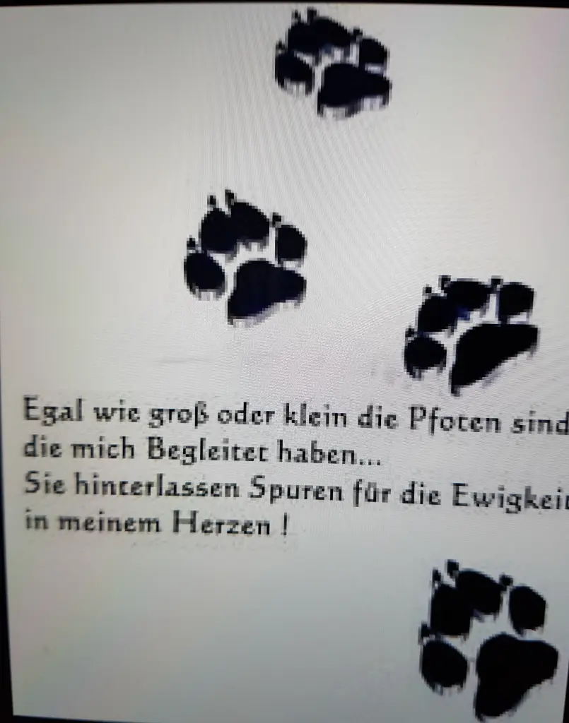 Condolence image of für SAM♥Oslo♥Duke♥Dino♥