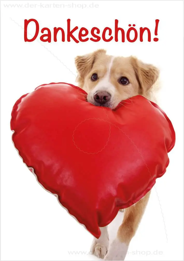 Condolence image of DANKE SCHON❤️❤️❤️