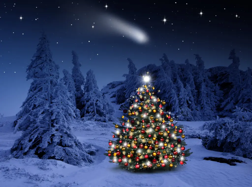 Condolence image of Weihnachtsgrüße von Zuhause....