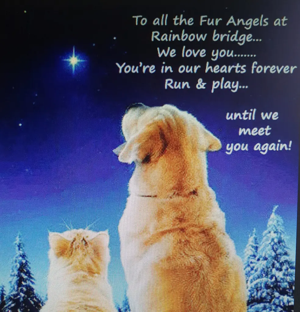 Condolence image of Ein neues Jahr....