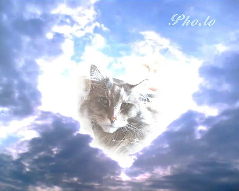 Condolence image of ♥♥♥♥♥♥