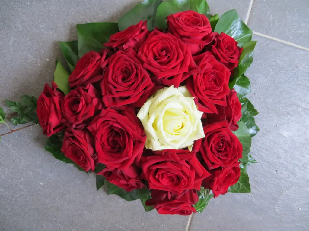 Condolence image of Uschi