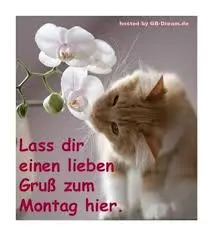 Condolence image of Brigitte mit Nelly, Benny und Axel im Herzen
