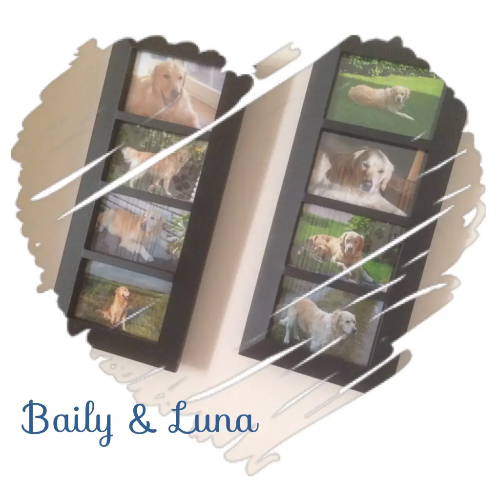 Image from Baily & Luna