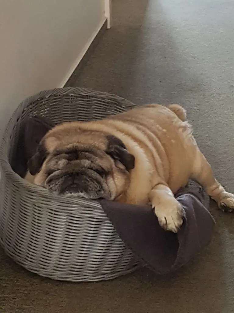 Condolence image of Sabine 