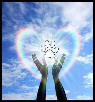 Condolence image of Lisa 