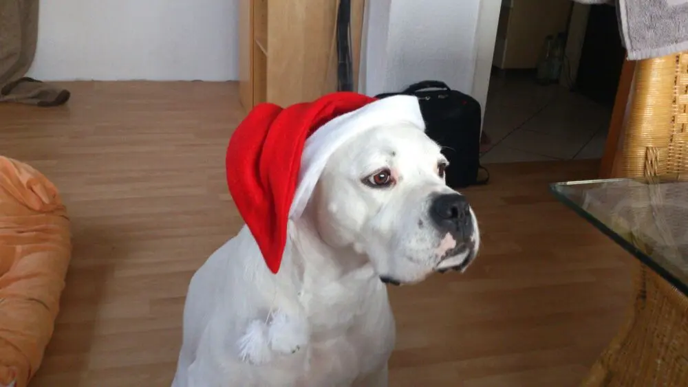 Image from Buuubi