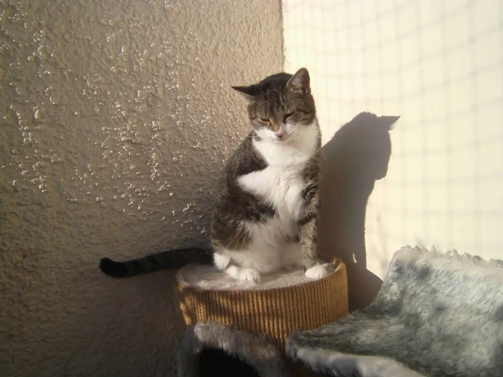 Andachtsbild von Susanne