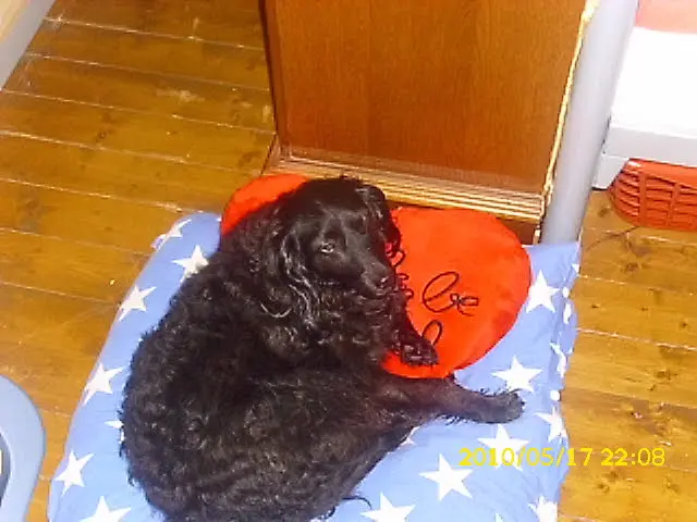 Condolence image of Sabrina