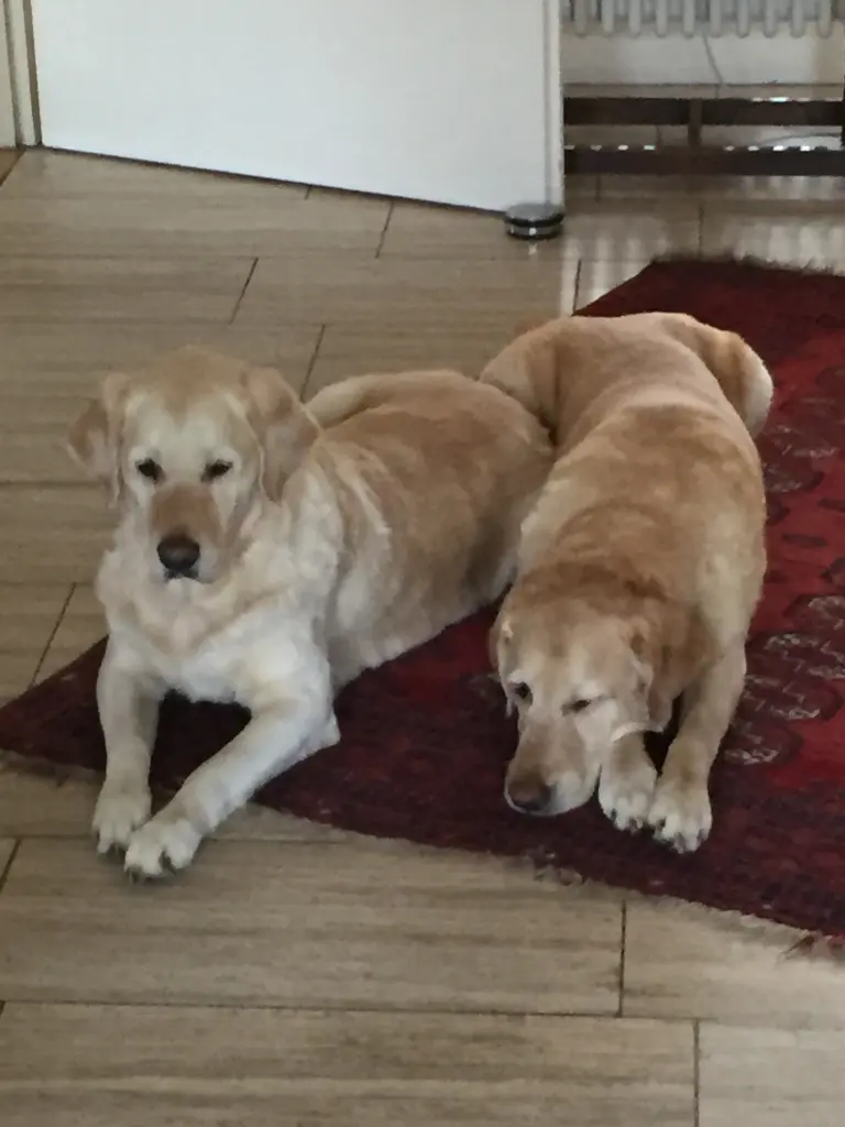 Andachtsbild von Unbekannt