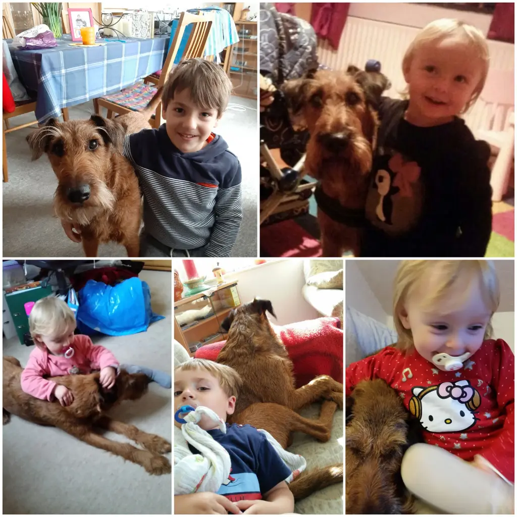 Image from Bobby