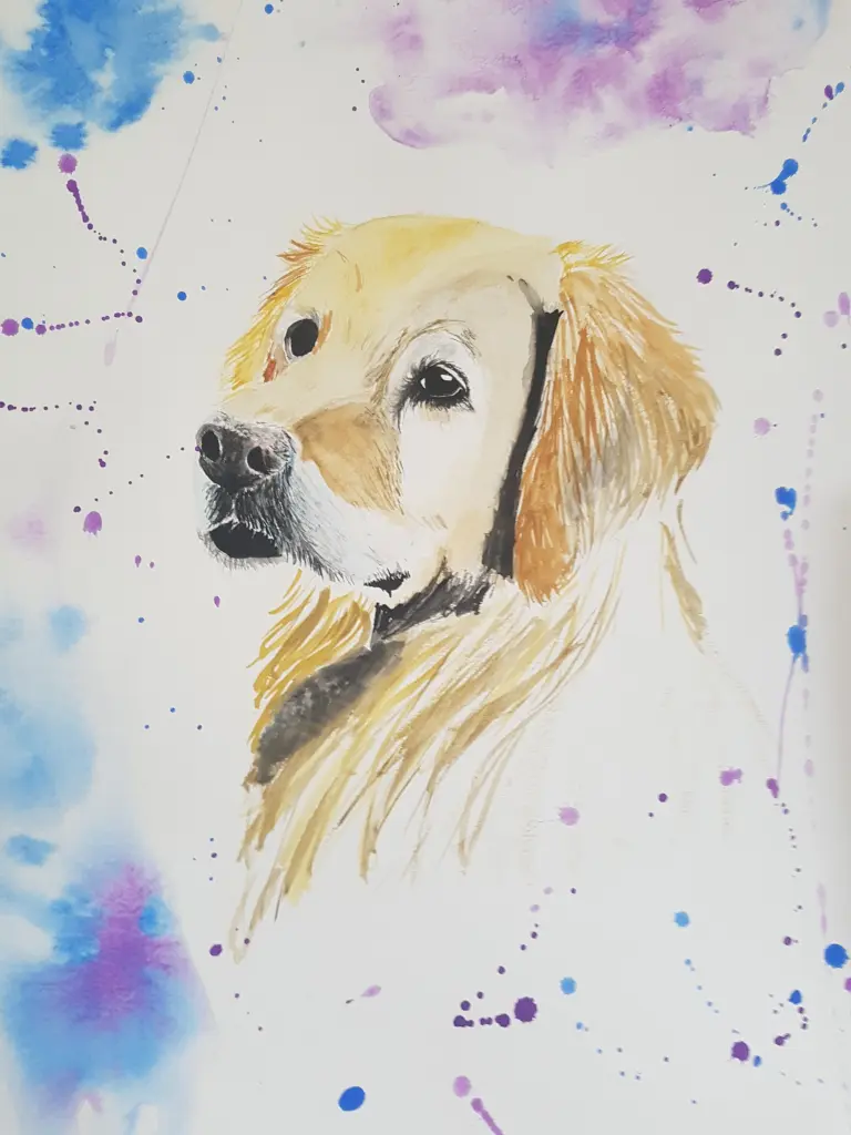Bild von Jona