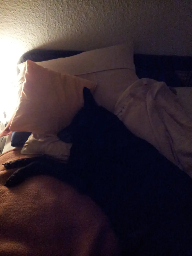 Image from Wheezy