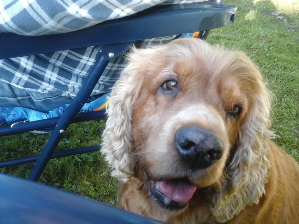 Image from Caisy