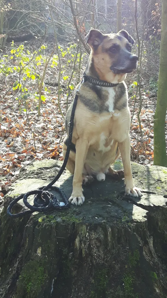Bild von Bender
