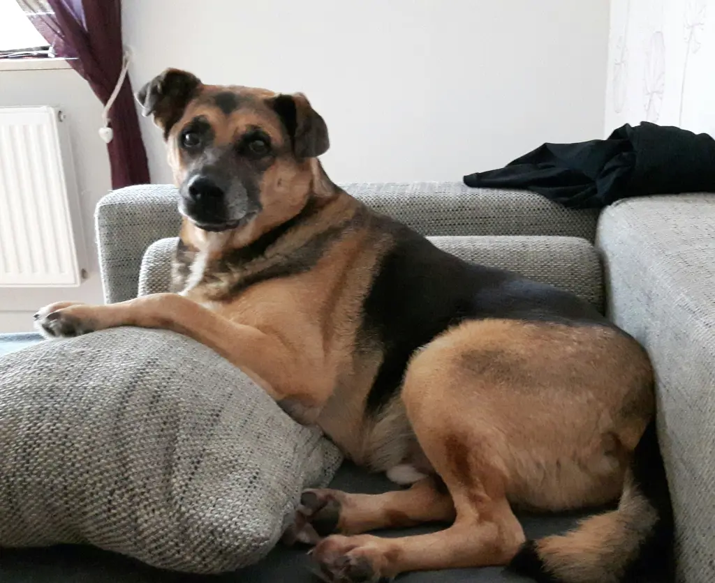 Bild von Bender
