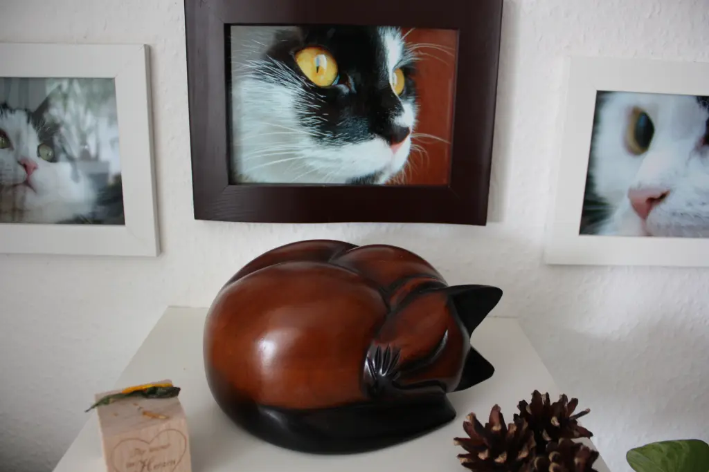 Condolence image of Doreen