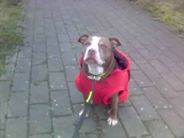 Condolence image of Isa+Claus Rössel