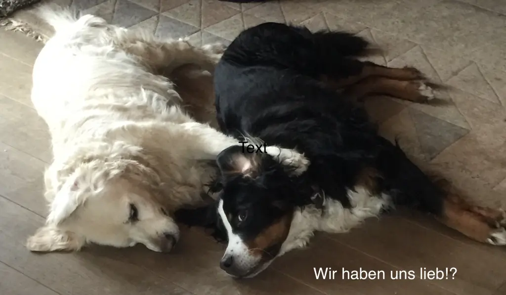 Image from Finja