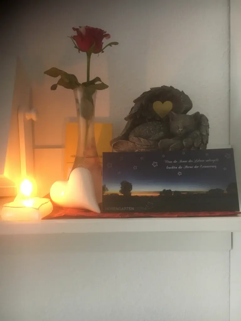 Image from Cinder
