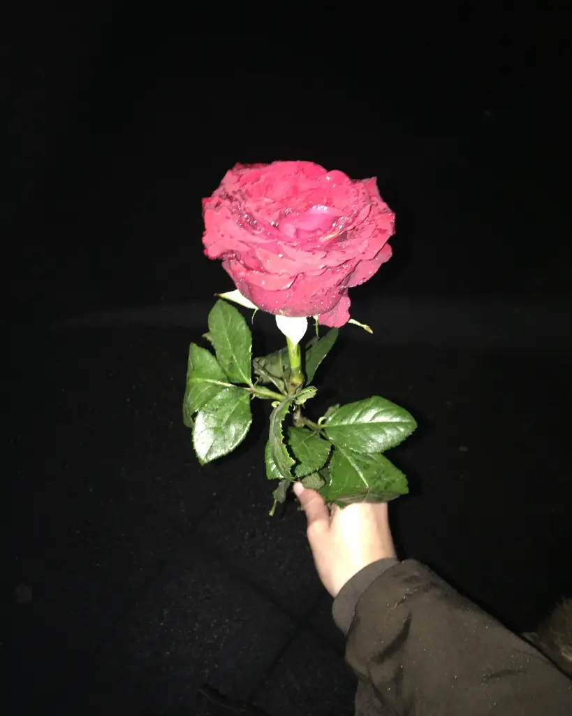 Condolence image of Janine