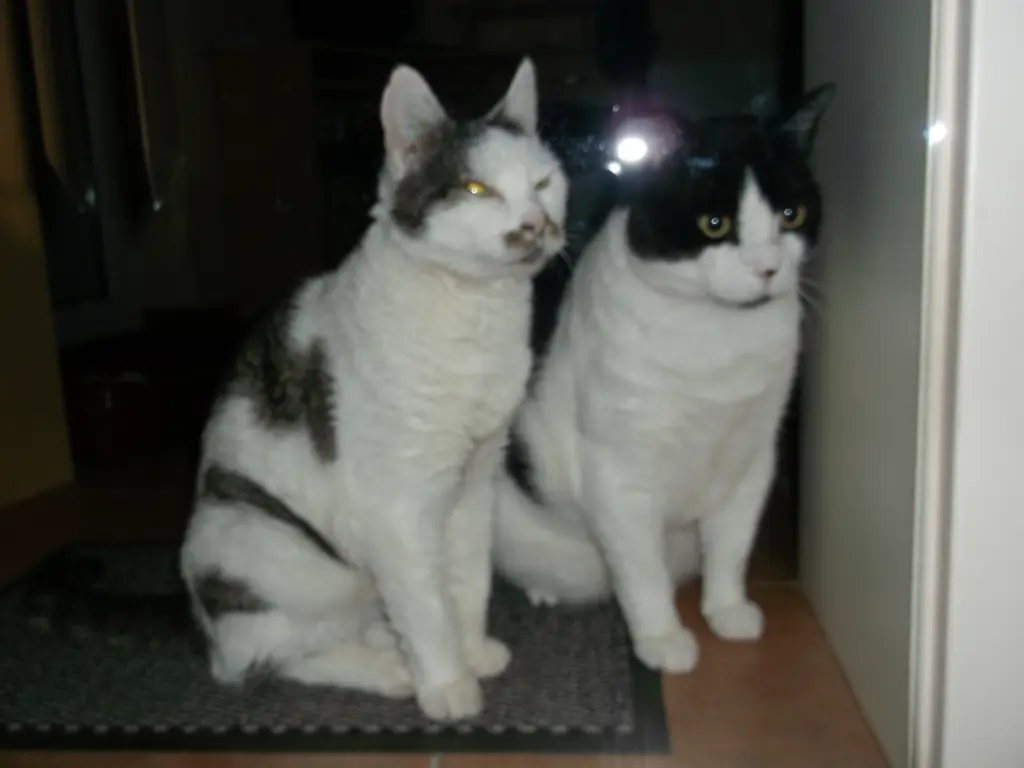 Condolence image of Unbekannt