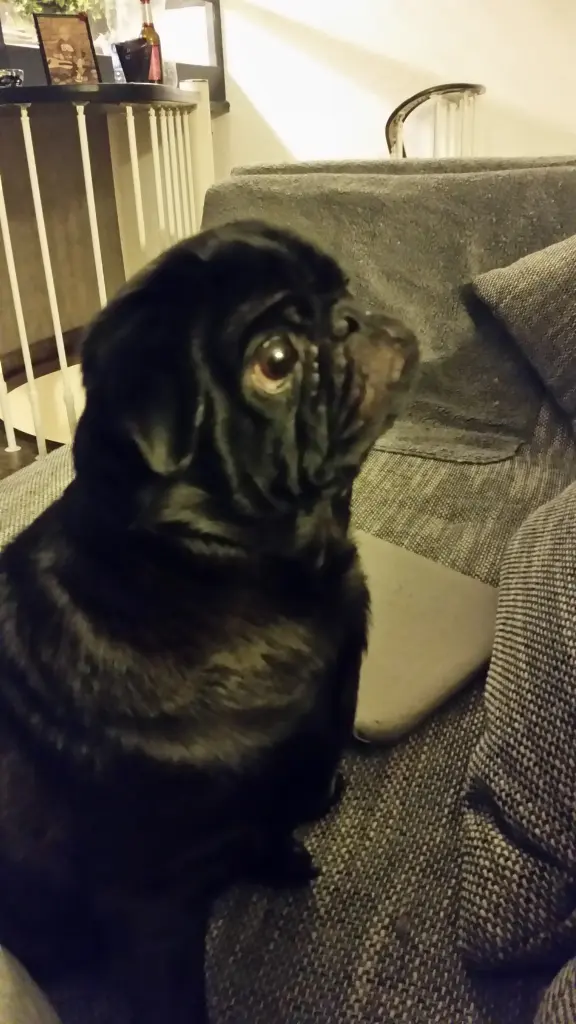 Condolence image of Mandy